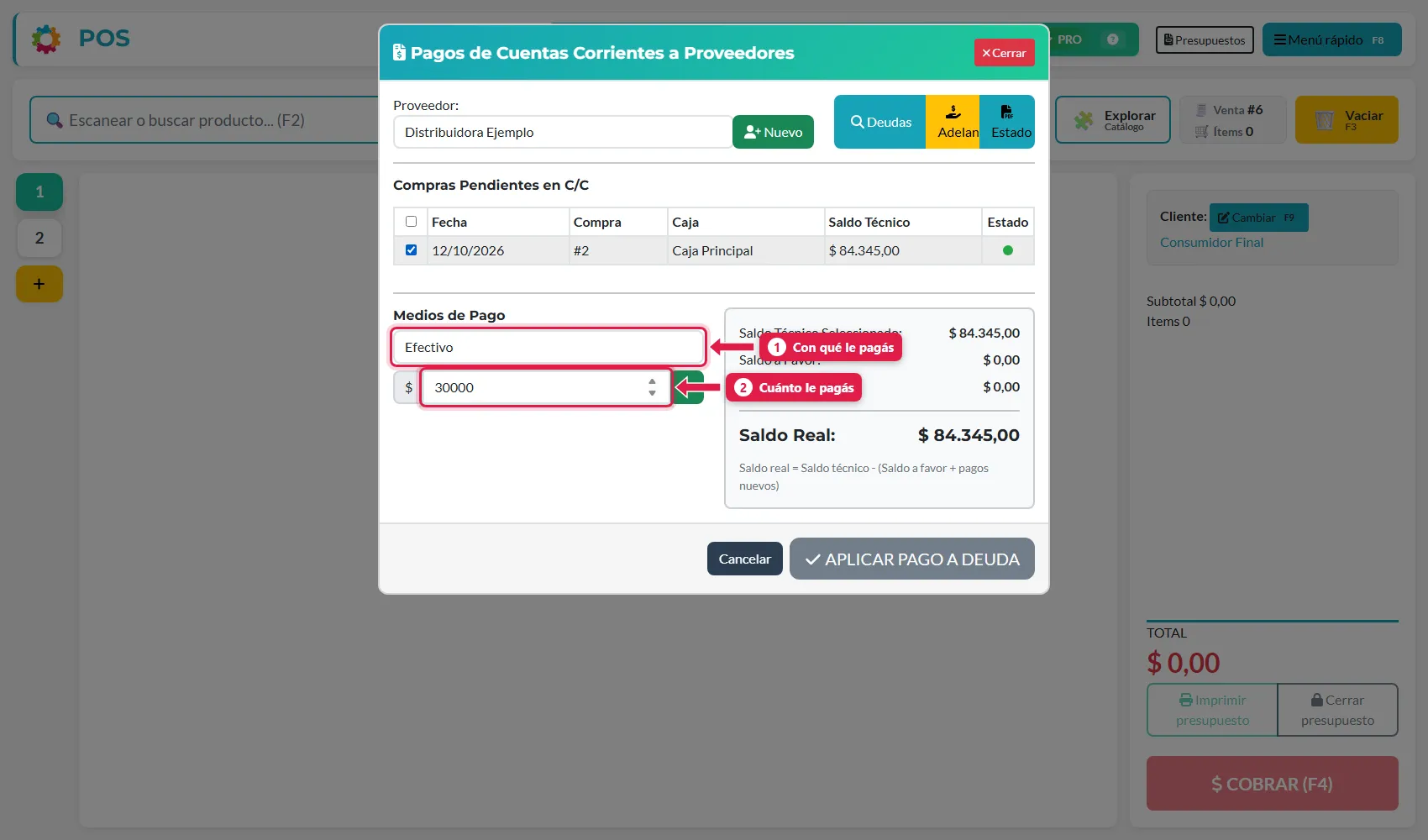 Pago parcial cargado